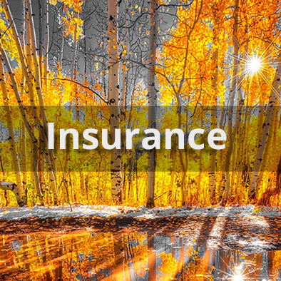 Insurance